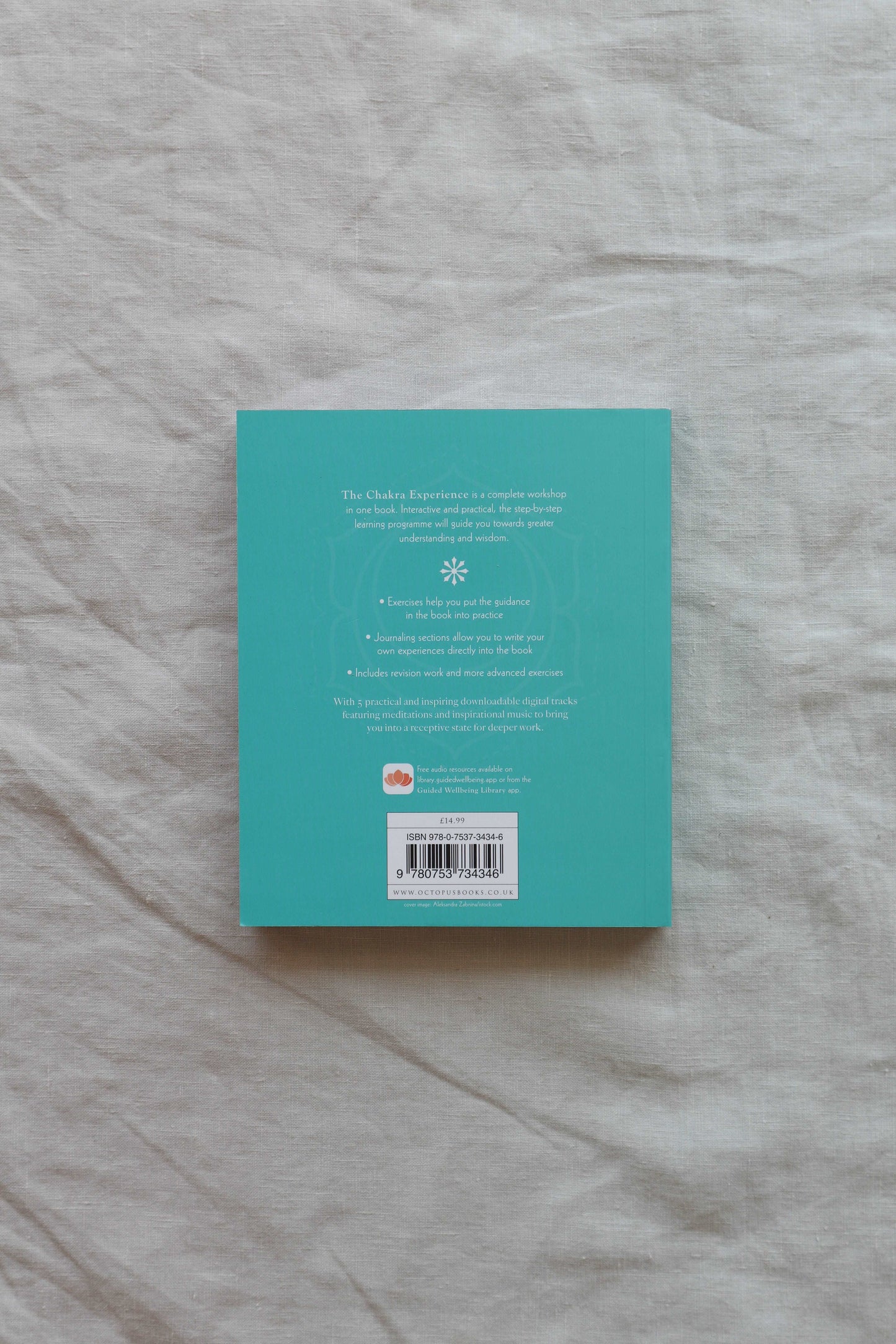 The Chakra Experience by Patrica Mercier