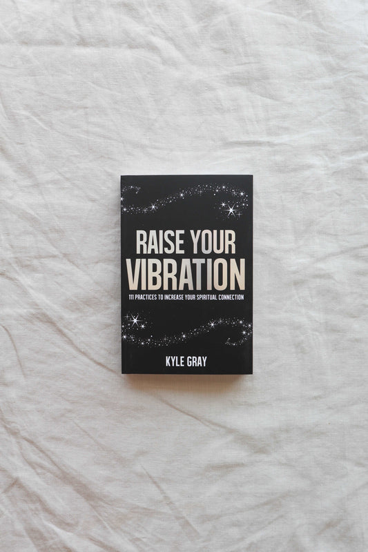 Raise Your Vibration Book By Kyle Gray